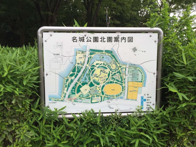 今日は名古屋_f0310282_18472234.jpeg