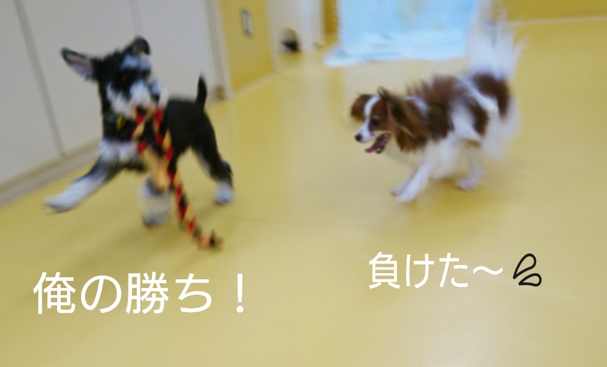 ロープで🎵_f0357682_15533531.jpg