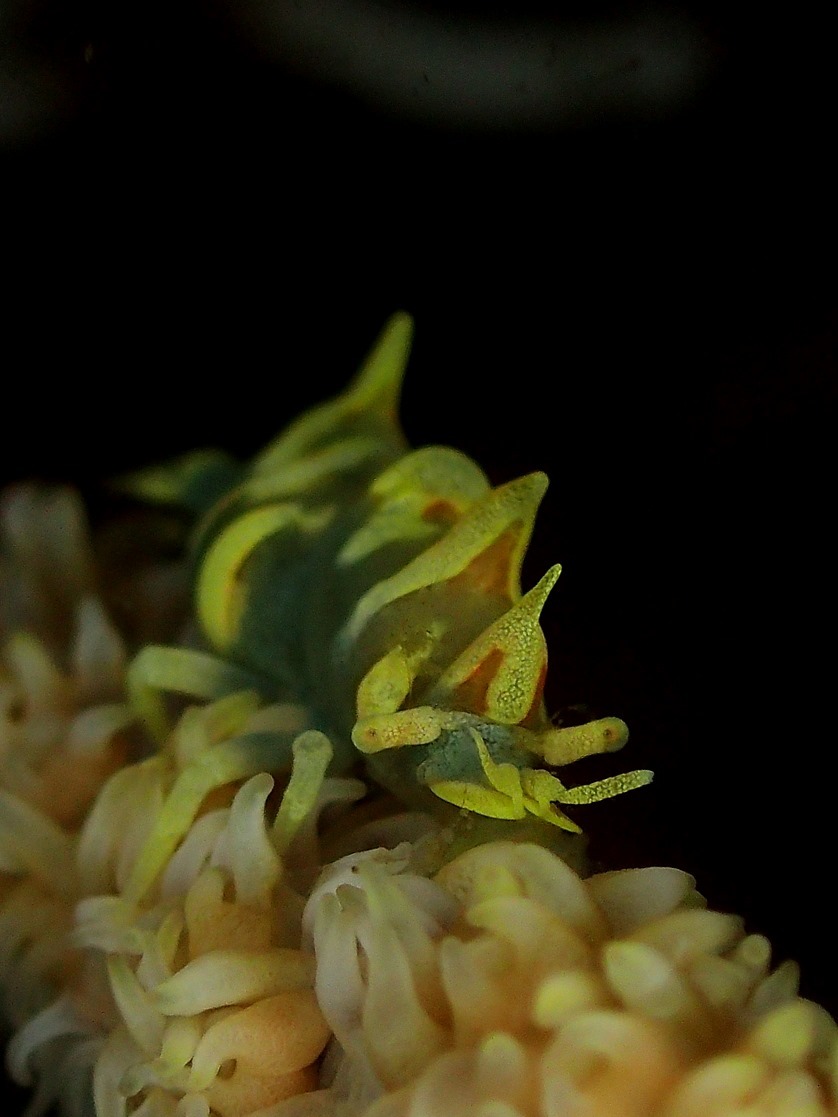 f0151886_15533499.jpg