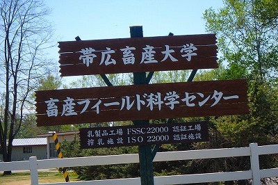 b0191190_20083461.jpg