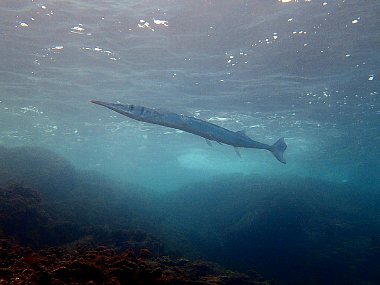 f0079996_15444791.jpg