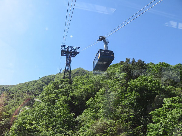 f0346196_15545043.jpg