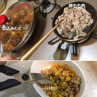 王子の歯石取りと手作りご飯。_f0372998_19301399.jpg