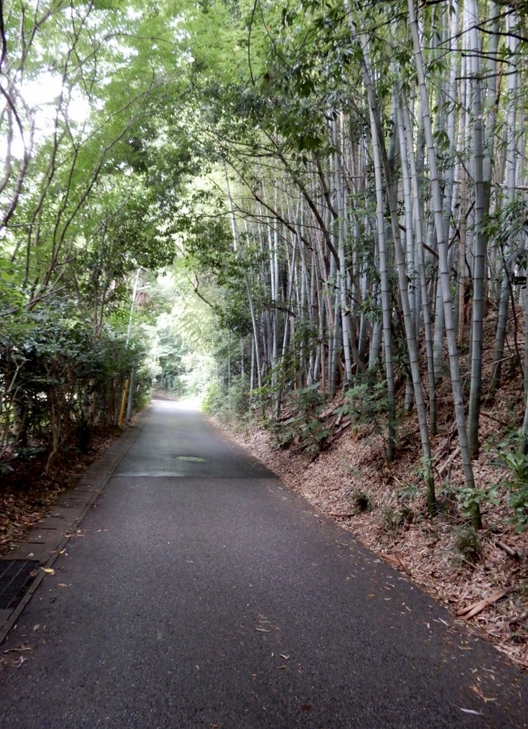 e0025300_2218145.jpg