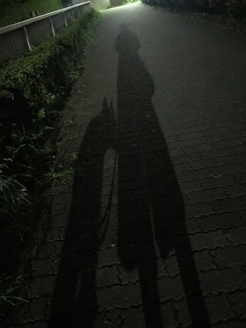 満月の下を♪_f0242002_11183866.jpg