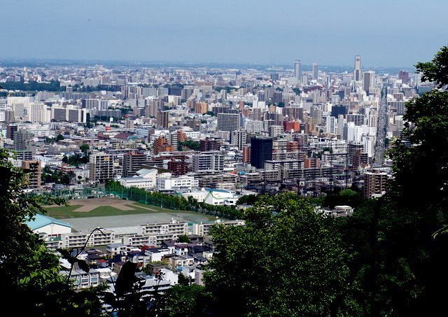 2019年7月８日(月)　　三角山～大倉山～奥三角山(標高354 m)_a0345007_17312761.jpg