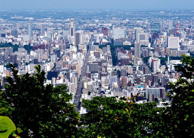 2019年7月８日(月)　　三角山～大倉山～奥三角山(標高354 m)_a0345007_17355892.jpg