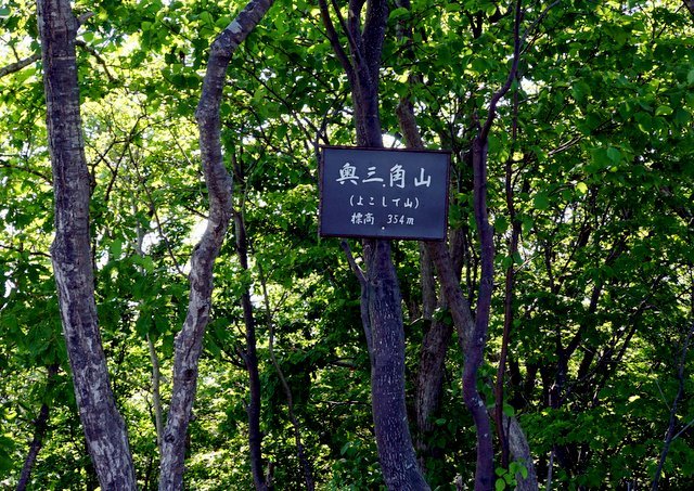 2019年7月８日(月)　　三角山～大倉山～奥三角山(標高354 m)_a0345007_17414218.jpg