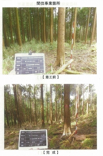 今年は内山財産、須津山財産等の統合の年! 内山財産の管内視察_f0141310_08120801.jpg