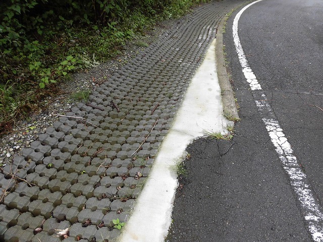 今年は内山財産、須津山財産等の統合の年! 内山財産の管内視察_f0141310_08133910.jpg