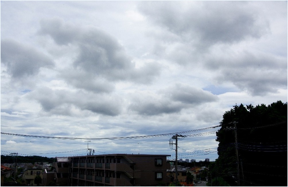 見上げた空_c0352813_10170460.jpg