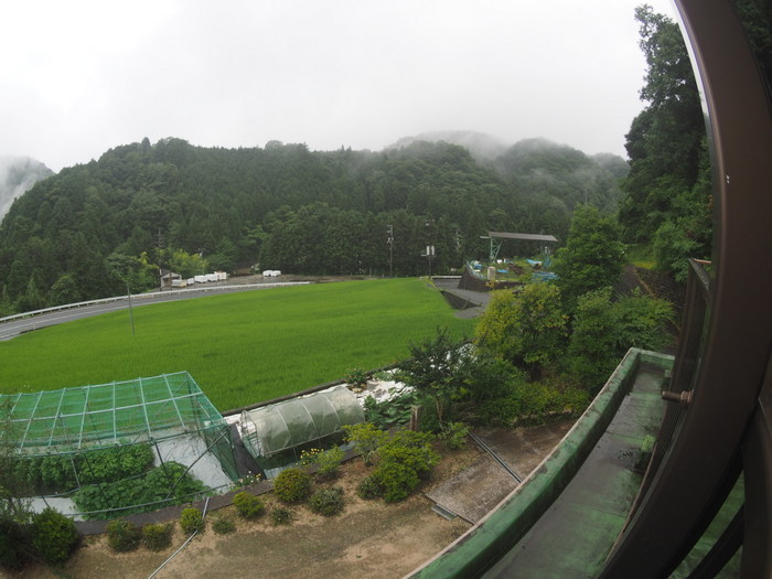 今日も雨_c0116915_20273859.jpg