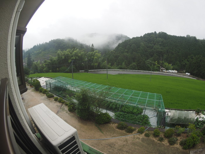 今日も雨_c0116915_20274556.jpg