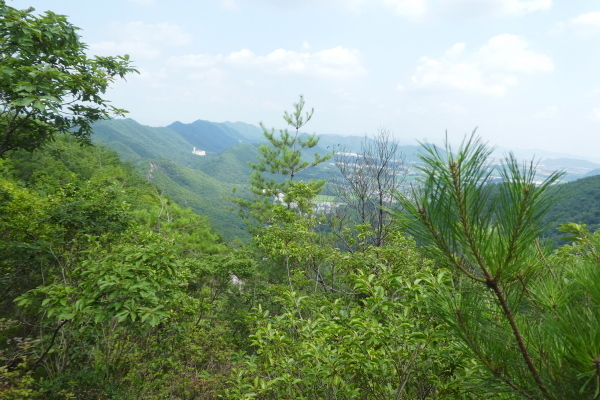 d0170615_20003574.jpg