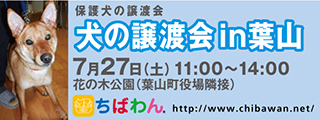 f0078320_15195506.png