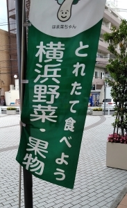 f0354923_17465795.jpg