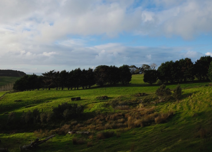 e0310424_19241866.jpg