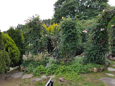 a0276937_20411364.jpg