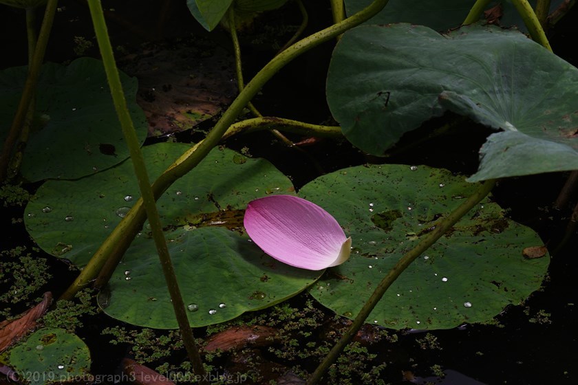 e0362037_09074240.jpg