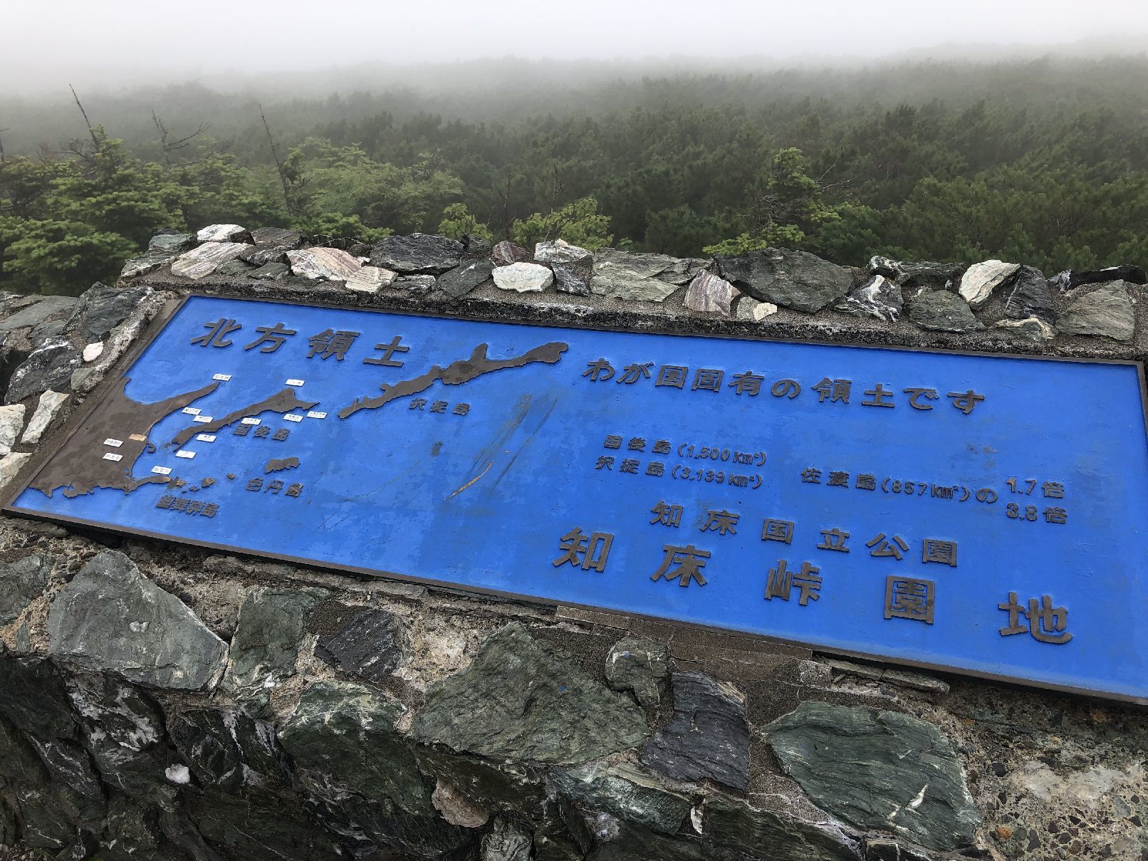 b0187142_22493680.jpg