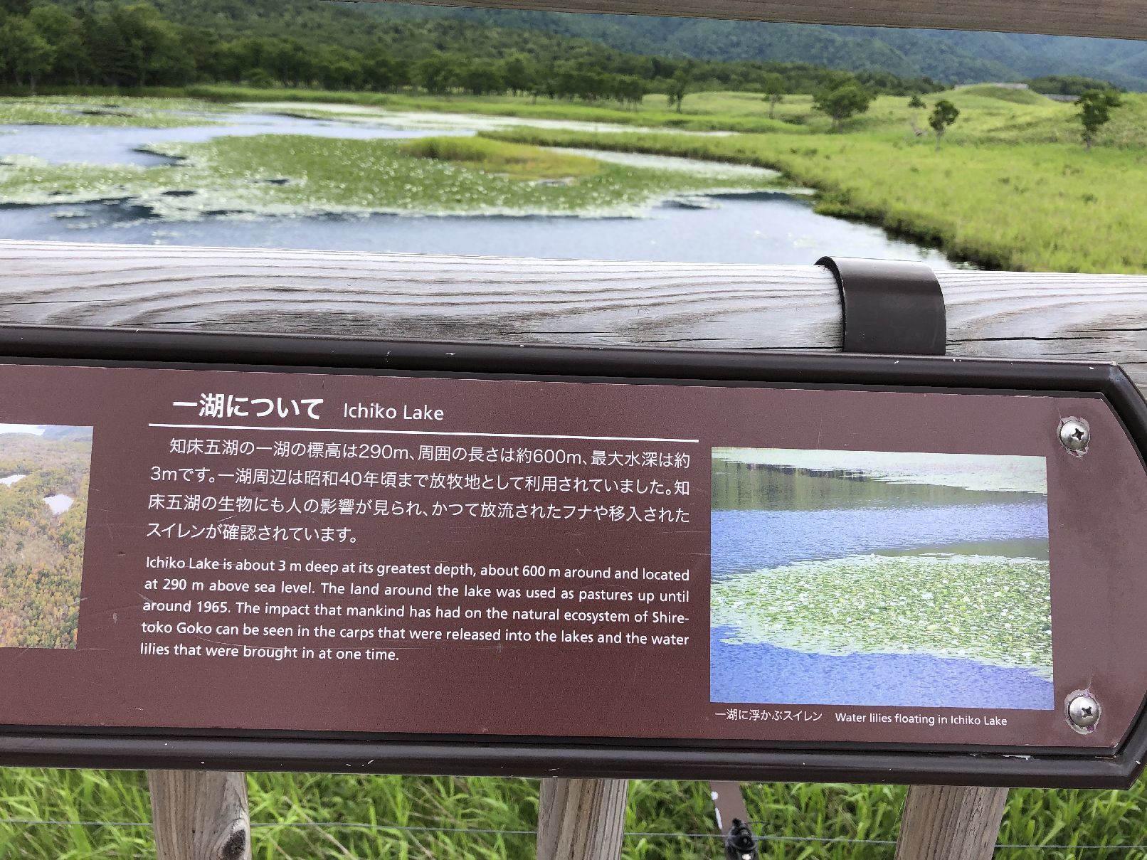 b0187142_22493691.jpg