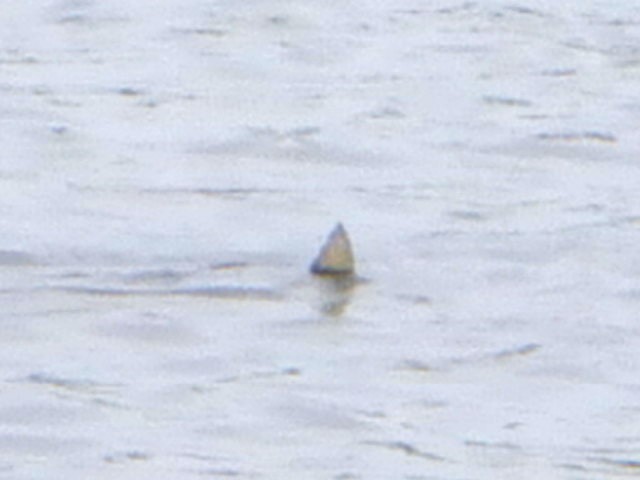f0055244_21140397.jpg