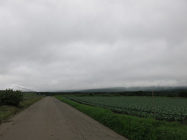 e0345845_10203450.jpg