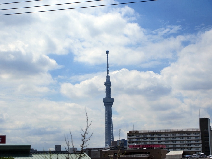 【北海道&東日本パス旅5日目】色々乗り換えてようやく帰宅_b0009849_1828555.jpg