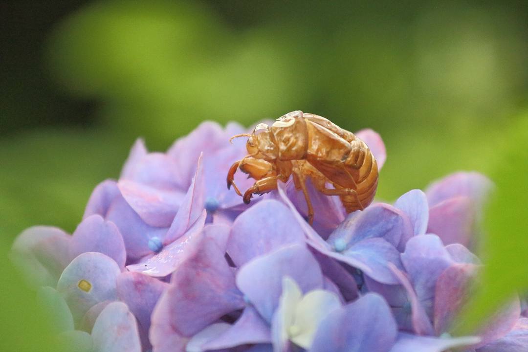e0403850_20104008.jpg