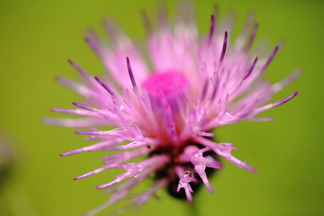e0403850_20161893.jpg