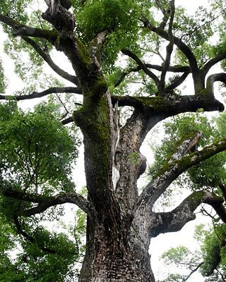 e0035757_21591918.jpg
