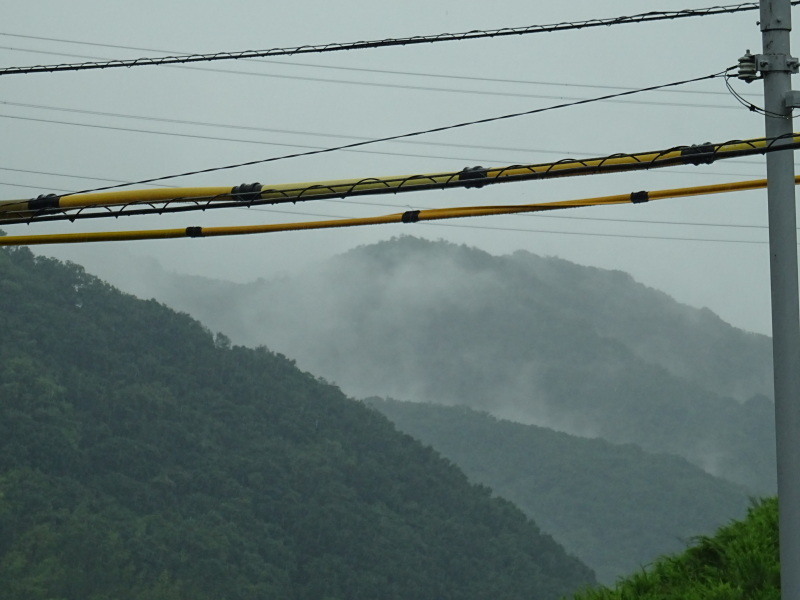 雨中の「暑気払いパーティー」・・・孝子の森_c0108460_19303209.jpg