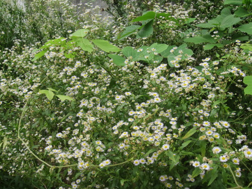 f0256164_13365119.jpg