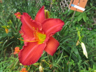 d0389166_22370037.jpg