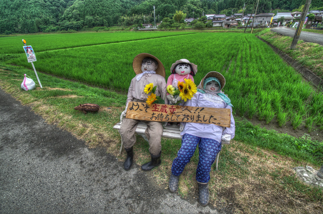 ひまわり畑の住人たち_b0259669_00573401.jpg