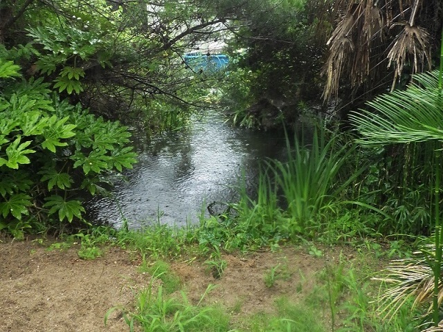 c0105569_00202363.jpg