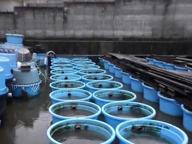 c0105569_00203481.jpg