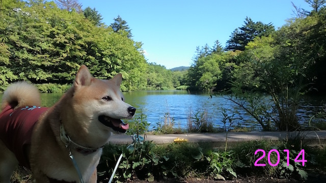 b0274270_09284537.jpg
