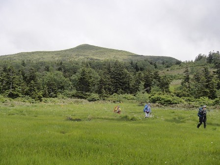 2019.7.14～15 秋田駒ヶ岳の花巡り（二日目）_a0344771_11450670.jpg