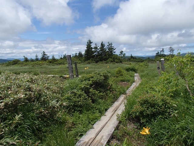 a0344771_11451615.jpg