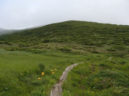 2019.7.14～15 秋田駒ヶ岳の花巡り（二日目）_a0344771_11464098.jpg