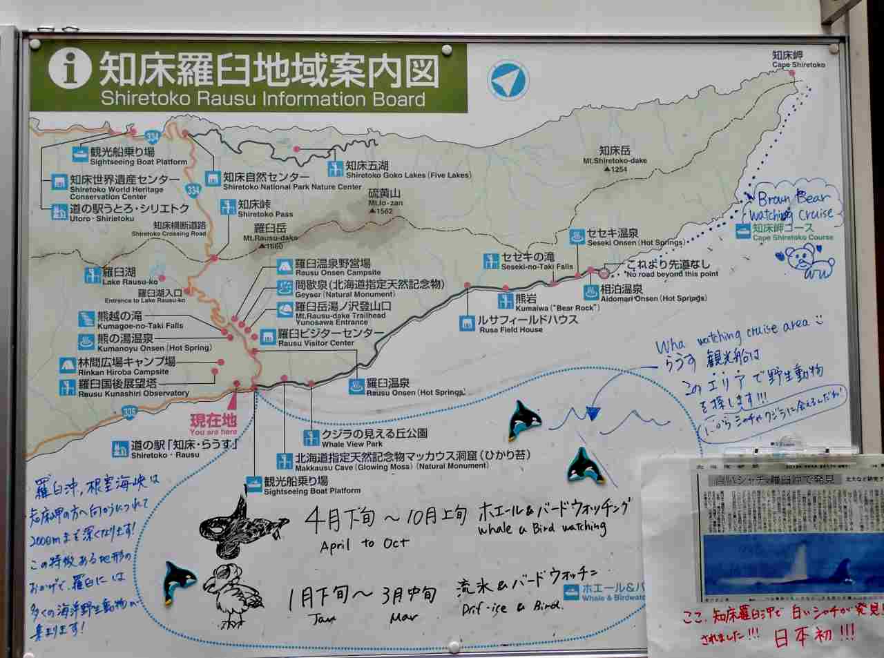 秘湯！岩尾別温泉「地の果てホテル」に泊まる羅臼シャチク－ズ3日間　1,030ｋｍ　22,308歩の旅　7/15~17_c0183777_10562757.jpg