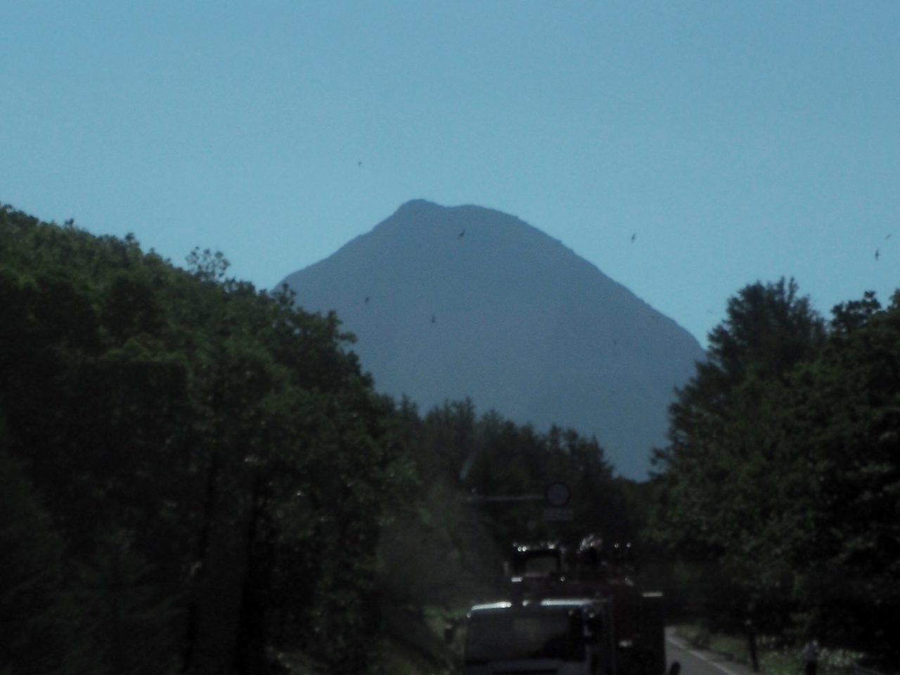 c0183777_84801.jpg