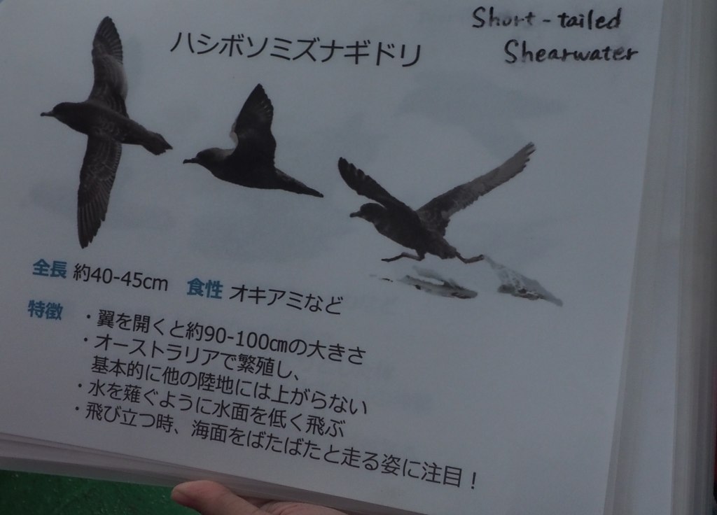 秘湯！岩尾別温泉「地の果てホテル」に泊まる羅臼シャチク－ズ3日間　1,030ｋｍ　22,308歩の旅　7/15~17_c0183777_9261945.jpg