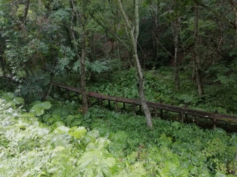 c0212083_17450810.jpg