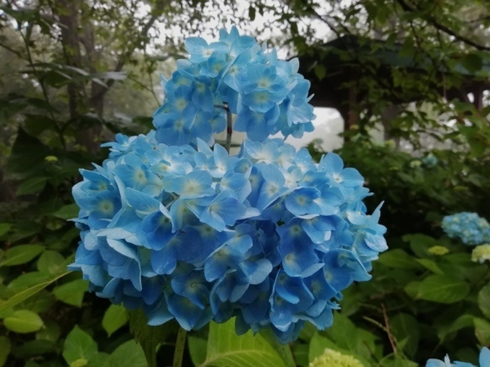 c0212083_17474853.jpg