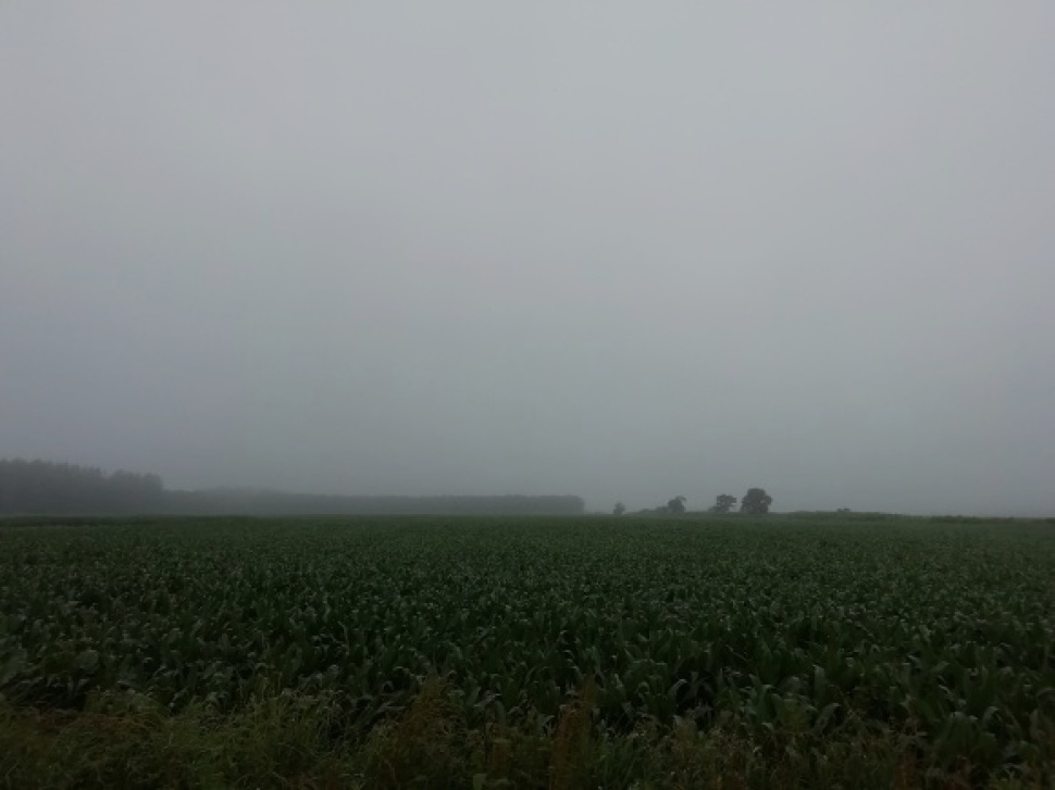 c0212083_17541879.jpg