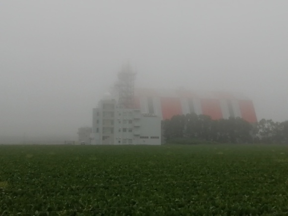 c0212083_17551558.jpg