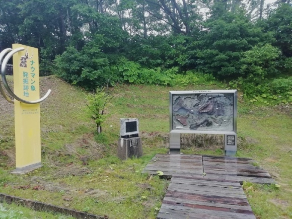 c0212083_17553665.jpg