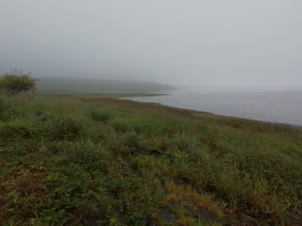 c0212083_17560707.jpg